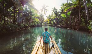 Read more about the article Lessons from Trailblazers Inspiring Stories of Successful Leaders